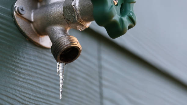 Best Septic Systems  in Adrian, MN